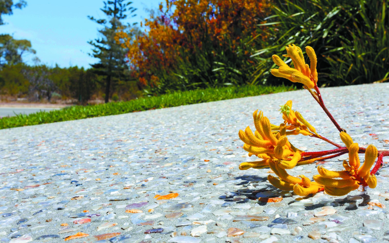 Pour Concrete and Add Value to Your Home